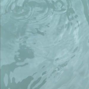 Meet your Posher, Jodie